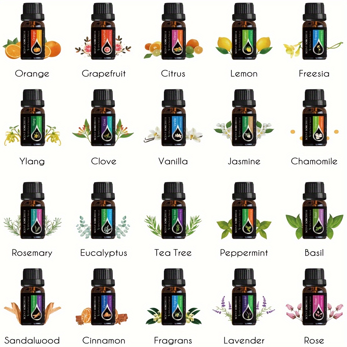 20pcs/set Essential Oil Set La - đánh giá và giá Soap Making Oils